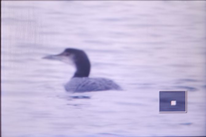 lodowiec  - Tadeusz Sobuś