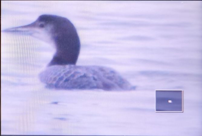 lodowiec  - Tadeusz Sobuś