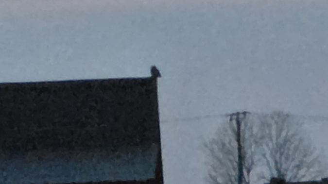 pójdźka  - Przemysław Stachyra