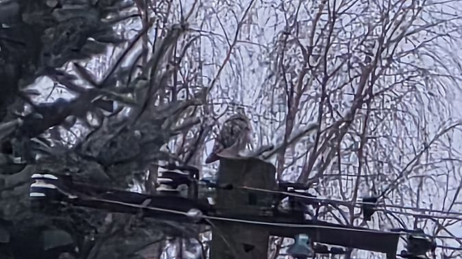 pójdźka  - Przemysław Stachyra