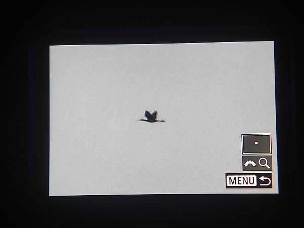 Sichler  - Torben Rust