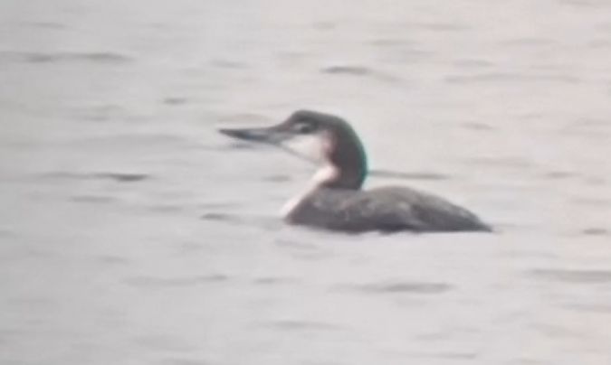 lodowiec  - Michał Polakowski