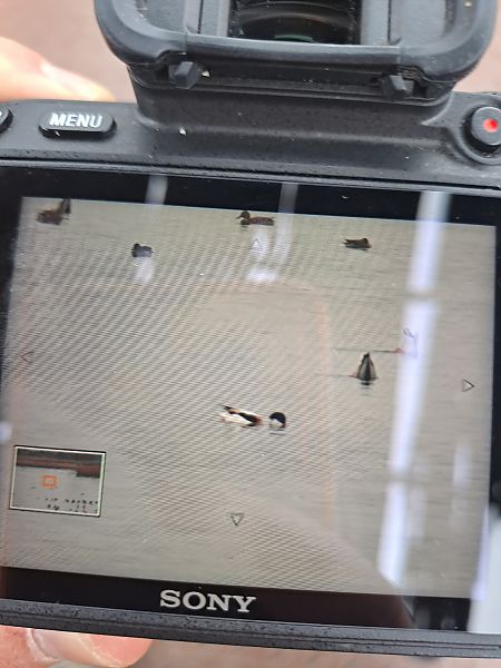 ohar  - Mateusz Cymbała