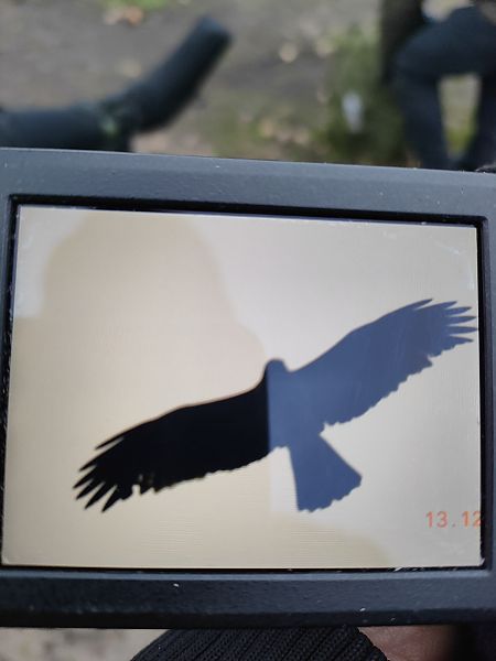 orzełek  - Roman Kempa