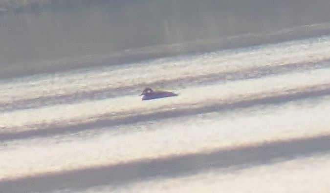 uhla  - Konrad Uryga