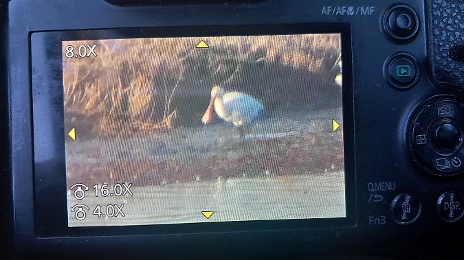 Spatola  - Menotti Passarella