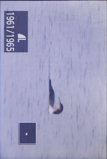 lodowiec  - Tadeusz Sobuś