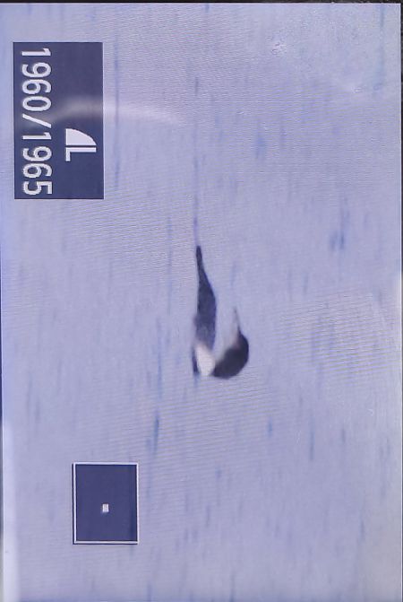 lodowiec  - Tadeusz Sobuś