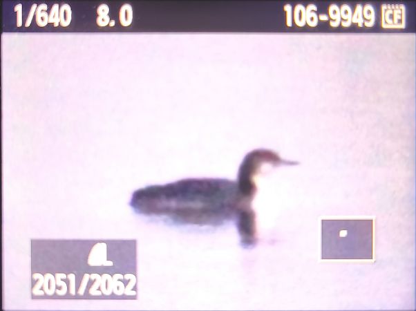 lodowiec  - Tadeusz Sobuś