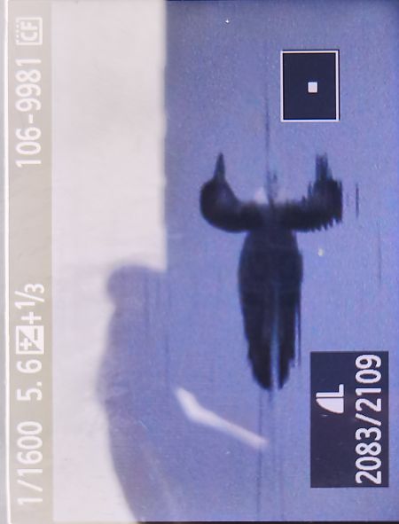 lodowiec  - Tadeusz Sobuś