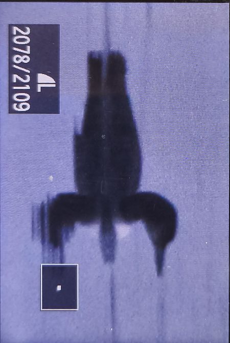 Plongeon imbrin  - Tadeusz Sobuś