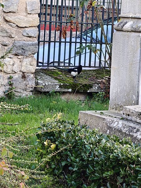 Mika  - Vanesa López Vázquez