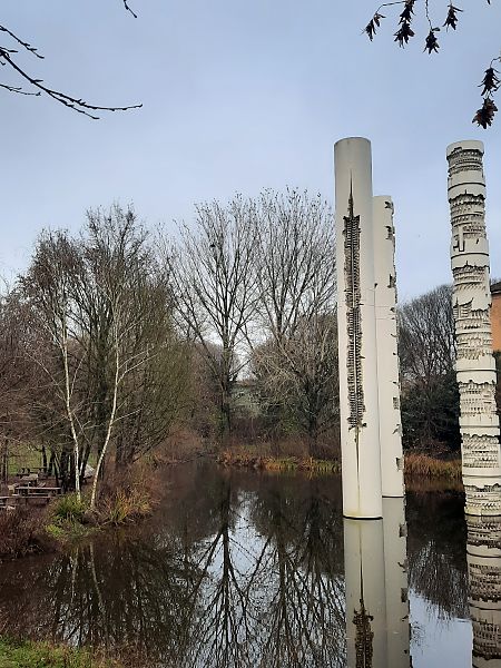 Storno  - Bassano Riboni