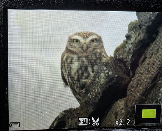 pójdźka  - Robert Locman