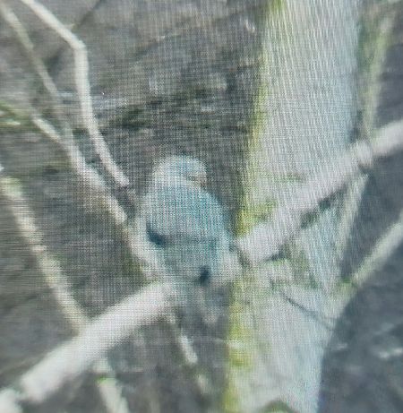 Gleitaar  - Jan Kotlarz