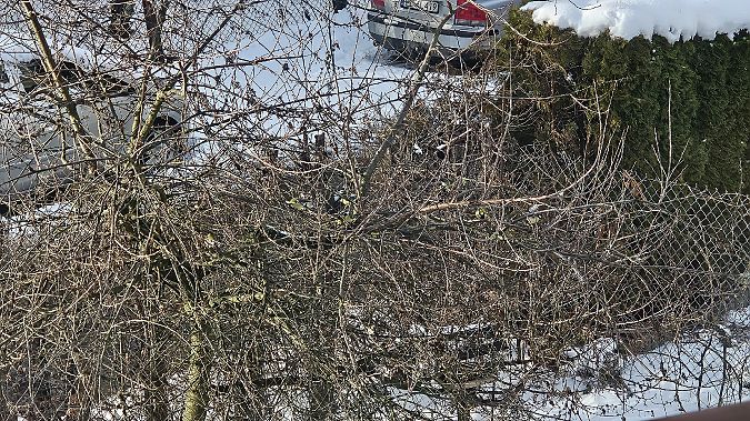 bogatka  - Anna Kamilewicz-Wicik