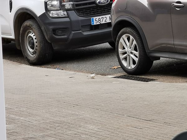 Etxe-txolarrea  - Josu Durán