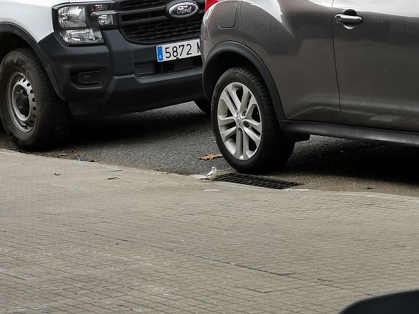 Etxe-txolarrea  - Josu Durán