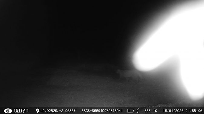 Basakatu  - Mikel Carrasco