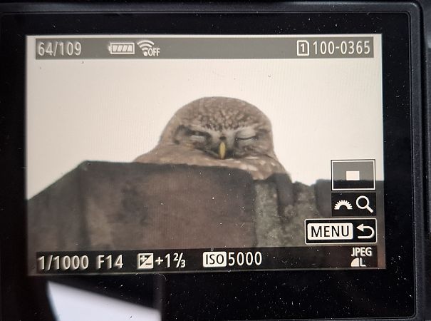 pójdźka  - Tomasz Doroń