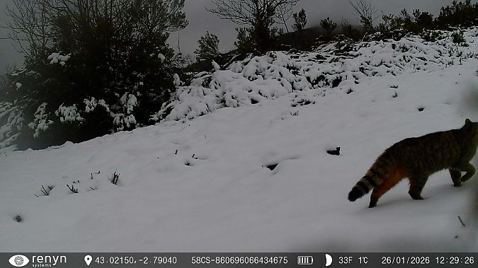 Basakatu  - Mikel Carrasco