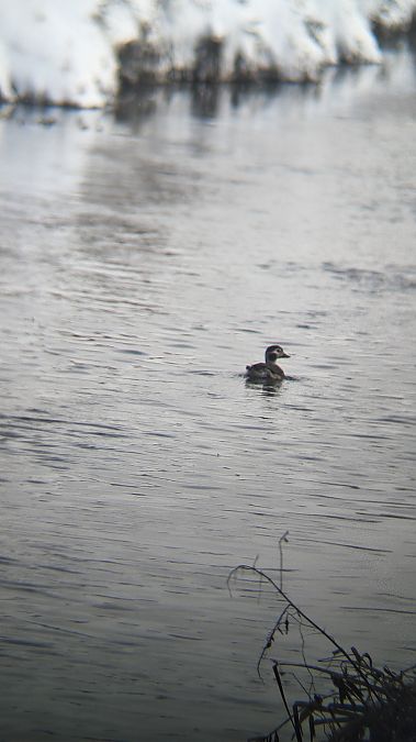 lodówka  - Mateusz Mazurczak