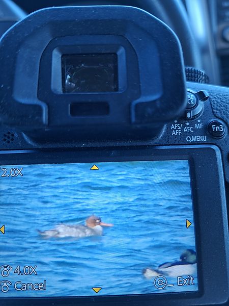 szlachar  - Michał Leszczyński