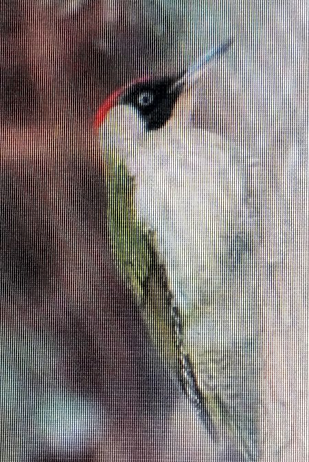 dzięcioł zielony  - Marek Betlejewicz