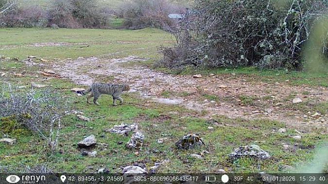 Basakatu  - Mikel Carrasco