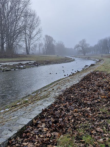 krzyżówka  - Tomasz Zarzycki