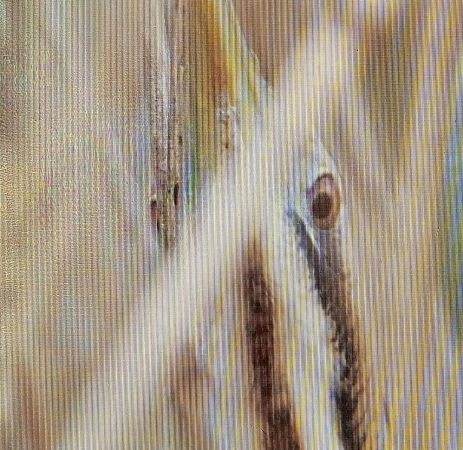 bąk  - Marek Betlejewicz