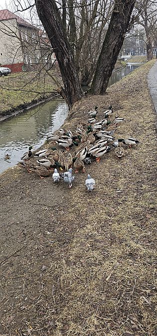 krzyżówka  - Jacek Betleja