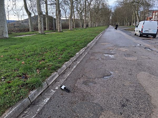 Mika  - Eraztun Berdeko Basozainak Guardas Anillo Verde