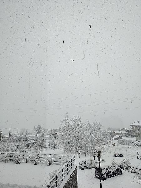 Rondine montana  - Alessandro Mazzoni