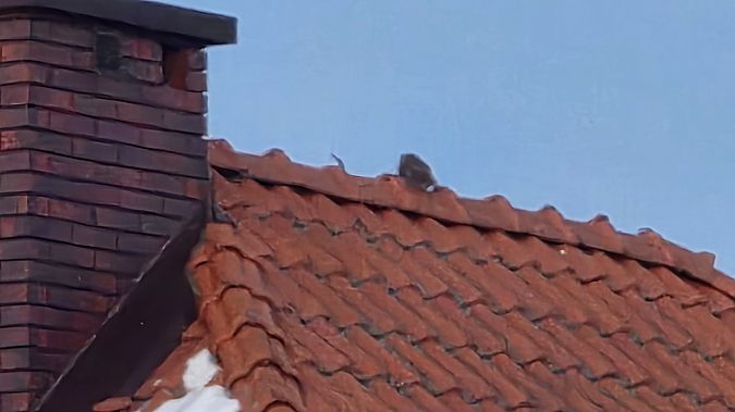 pójdźka  - Przemysław Stachyra