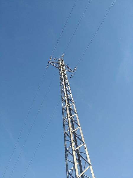 Duc  - Antoni Ferro de La Fuente