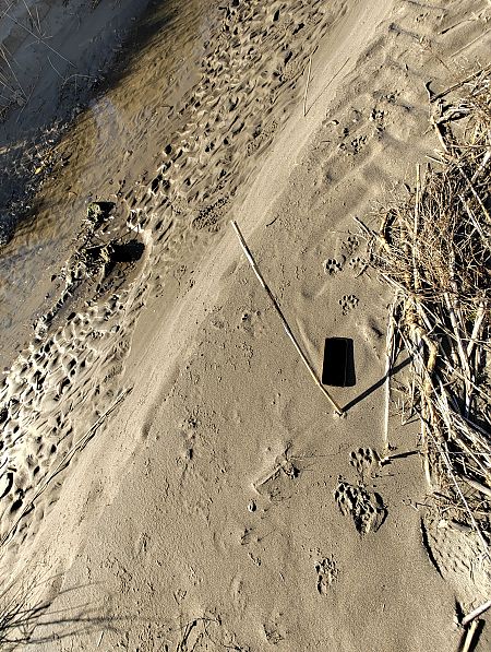 Llúdriga  - Mariano Cebolla Borrell