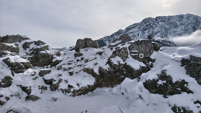 płochacz halny  - Mateusz Mazurczak