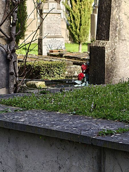 Kaskabeltz handia  - Vanesa López Vázquez