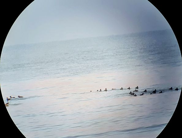 Orco marino  - Lino Lipparini