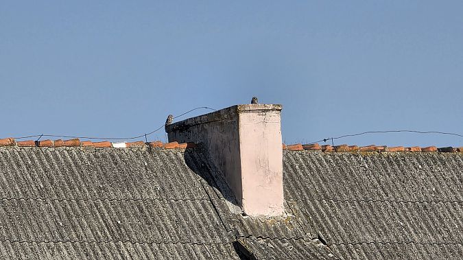 pójdźka  - Przemysław Stachyra