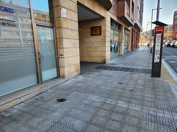 Oilagorra  - Andoni Candel