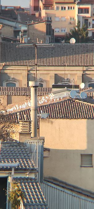 Esplugabous  - Beñat Olano Casasús