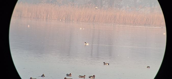 ohar  - Radosław Włodarczyk