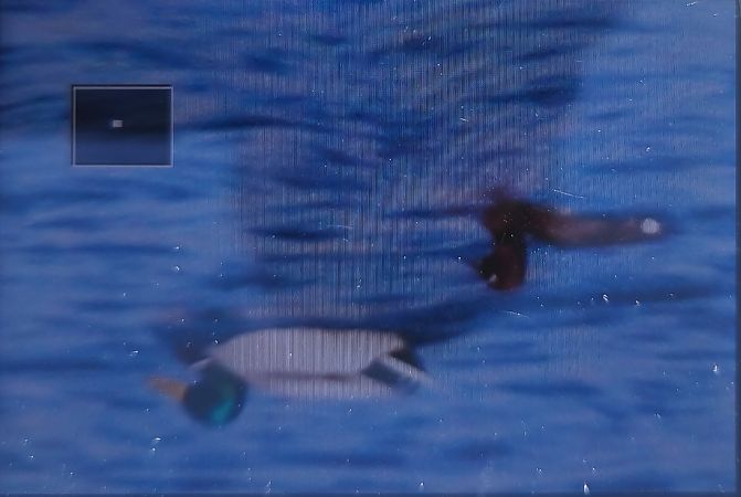 Moorente  - Tadeusz Sobuś