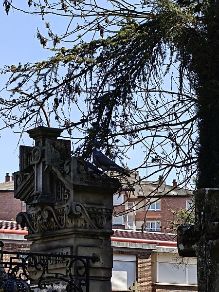 Pagausoa  - Vanesa López Vázquez