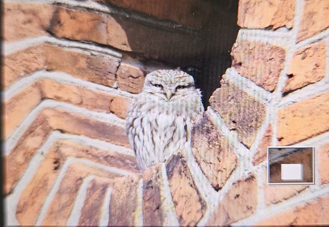 pójdźka  - Anna Kamilewicz-Wicik