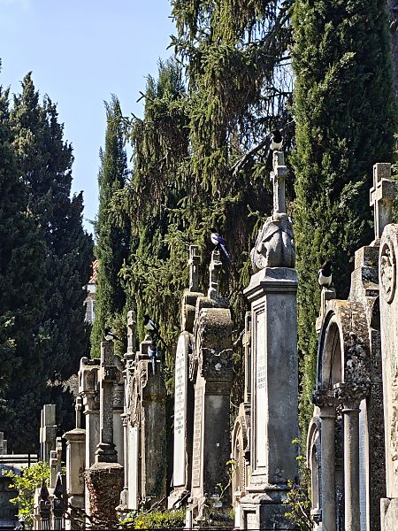 Mika  - Vanesa López Vázquez