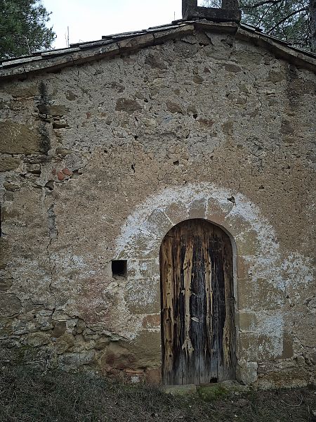 Ratpenat petit de ferradura  - David Guixé