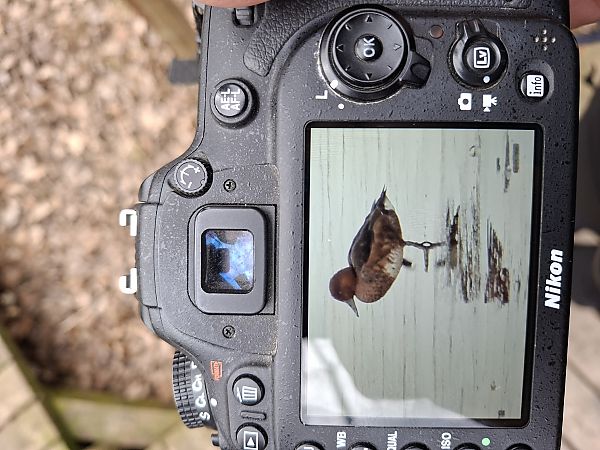 Moorente  - Michał Leszczyński